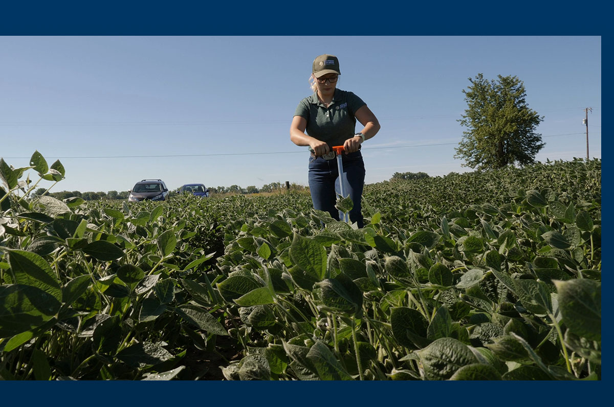 young woman standing in soybean field